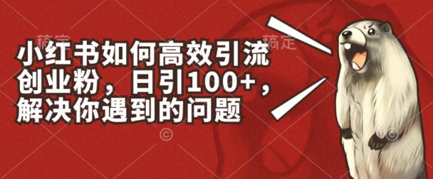 小红书如何高效引流创业粉，日引100+，解决你遇到的问题-云帆学社