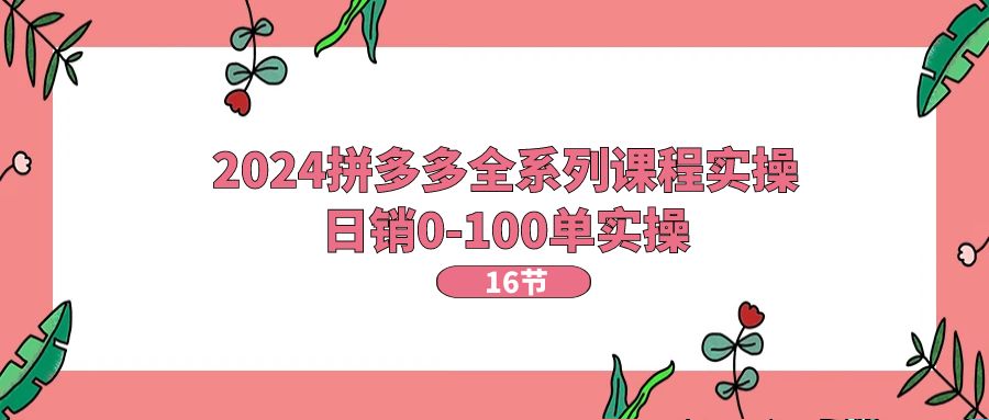 2024拼多多全系列课程实操，日销0-100单实操【16节课】-云帆学社