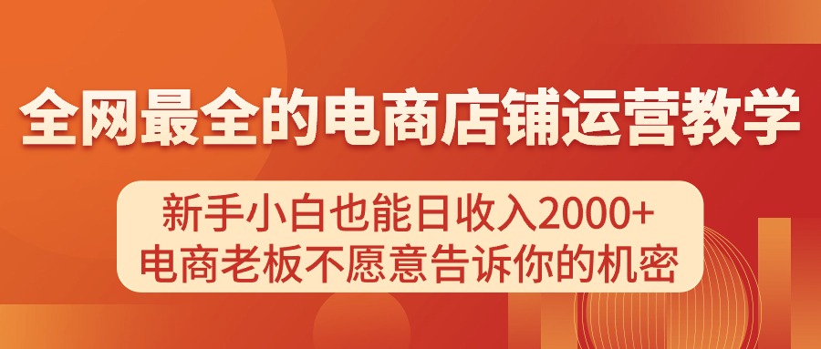 （11266期）电商店铺运营教学，新手小白也能日收入2000+，电商老板不愿意告诉你的机密-云帆学社