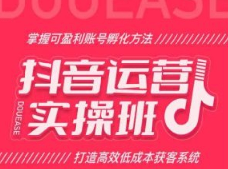 抖音运营实操班，掌握可盈利账号孵化方法，打造高效低成本获客系统-云帆学社