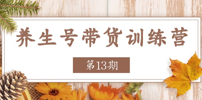 养生号带货训练营【第13期】收益更稳定的玩法，让你带货收益爆炸-云帆学社