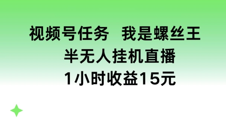 视频号任务，我是螺丝王， 半无人挂机1小时收益15元-云帆学社