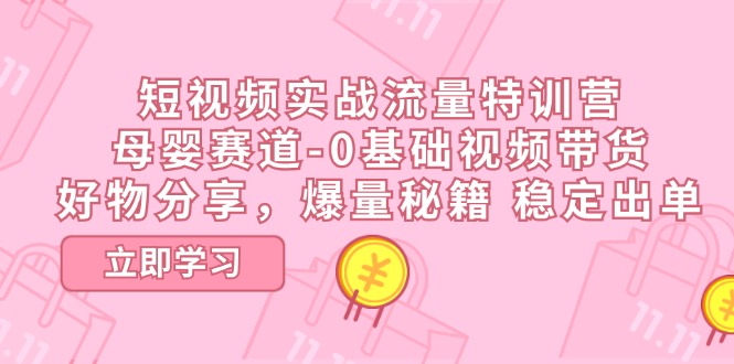 （11373期）短视频实战流量特训营，母婴赛道-0基础带货，好物分享，爆量秘籍 稳定出单-云帆学社