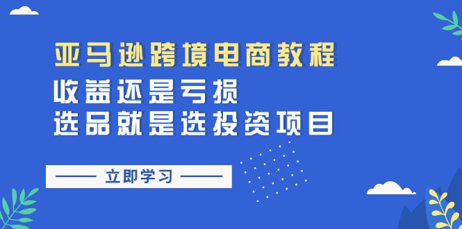 （11432期）亚马逊跨境电商教程：收益还是亏损！选品就是选投资项目-云帆学社