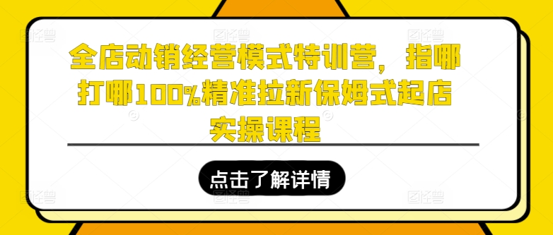 全店动销经营模式特训营，指哪打哪100%精准拉新保姆式起店实操课程-云帆学社