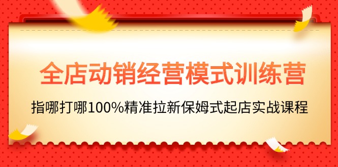 （11460期）全店动销-经营模式训练营，指哪打哪100%精准拉新保姆式起店实战课程-云帆学社