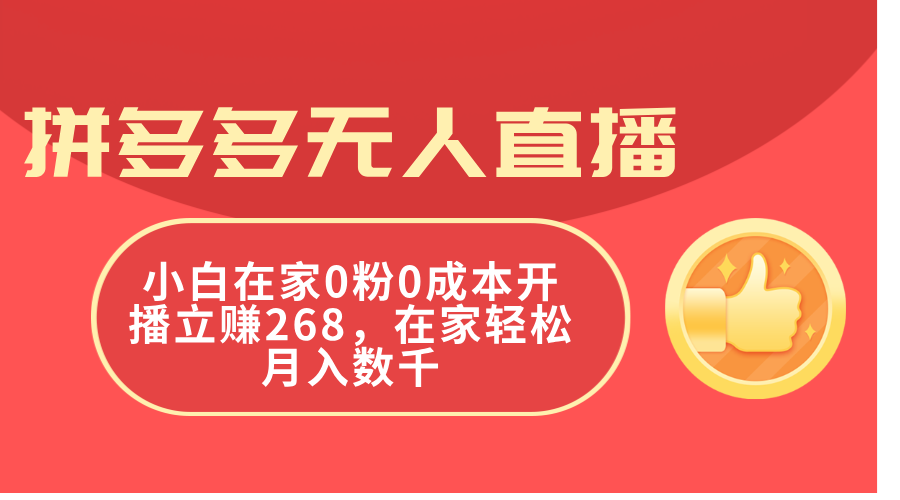 （11521期）拼多多无人直播，小白在家0粉0成本开播立赚268，在家轻松月入数千-云帆学社