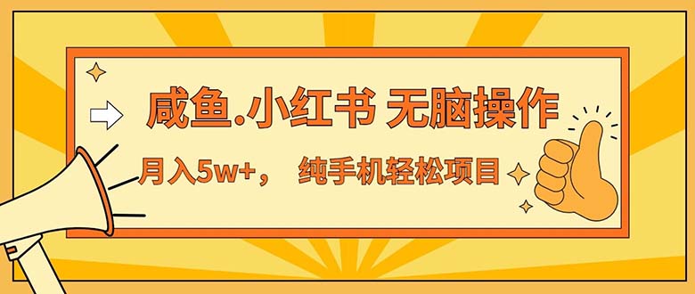 （11524期）2024最赚钱的项目，咸鱼，小红书无脑操作，每单利润500+，轻松月入5万+…-云帆学社