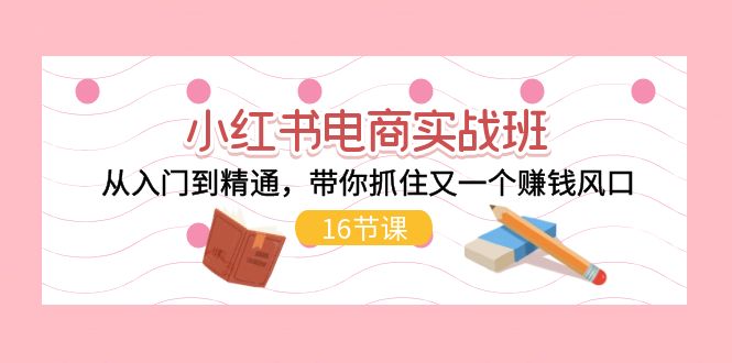 （11533期）小红书电商实战班，从入门到精通，带你抓住又一个赚钱风口（16节）-云帆学社