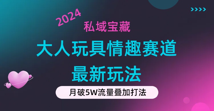 （11541期）私域宝藏：大人玩具情趣赛道合规新玩法，零投入，私域超高流量成单率高-云帆学社