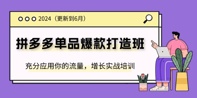 （11556期）2024拼多多-单品爆款打造班(更新6月)，充分应用你的流量，增长实战培训-云帆学社