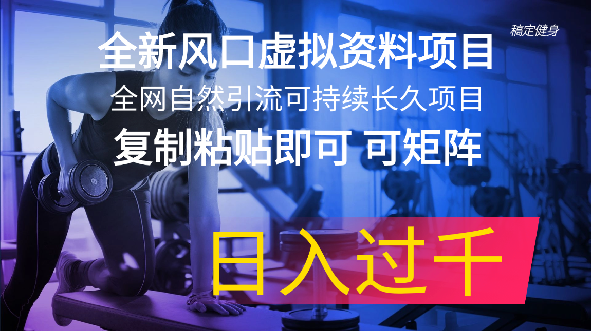 （11587期）全新风口虚拟资料项目 全网自然引流可持续长久项目 复制粘贴即可可矩阵…-云帆学社