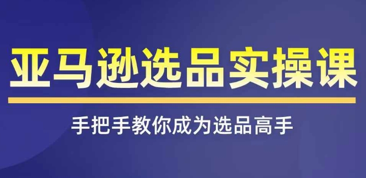 亚马逊选品实操课程，快速掌握亚马逊选品的技巧，覆盖亚马逊选品所有渠道-云帆学社