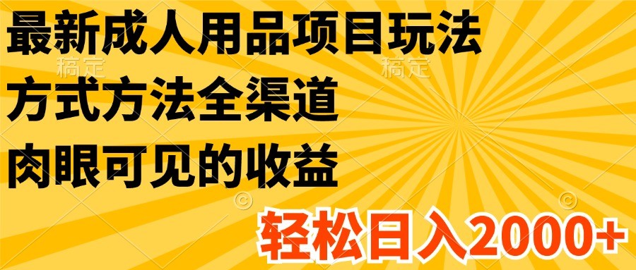 最新成人用品项目玩法，方式方法全渠道，肉眼可见的收益，轻松日入2000+-云帆学社