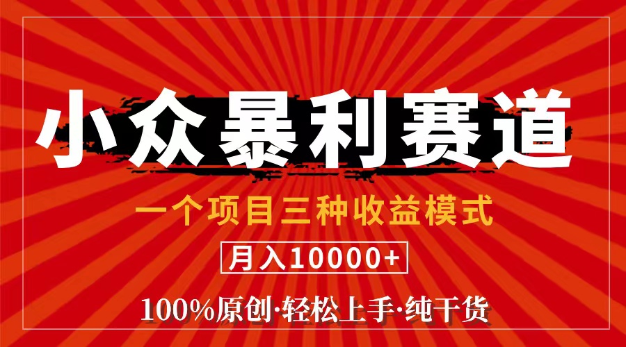 （11695期）视频号【中老年粉深信不疑】小众赛道 100%原创 手把手教学 新号3天收益…-云帆学社