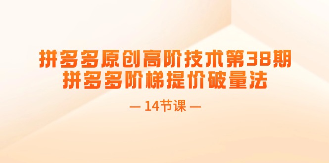 （11704期）拼多多原创高阶技术第38期，拼多多阶梯提价破量法（14节课）-云帆学社