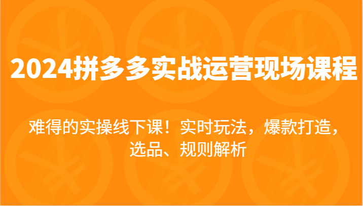 2024拼多多实战运营现场课，实时玩法，爆款打造，选品、规则解析，难得的实操线下课！-云帆学社