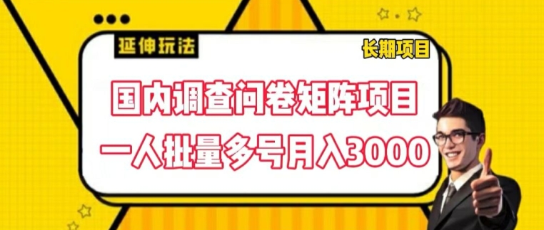 国内调查问卷矩阵项目，一人批量多号月入3000-云帆学社