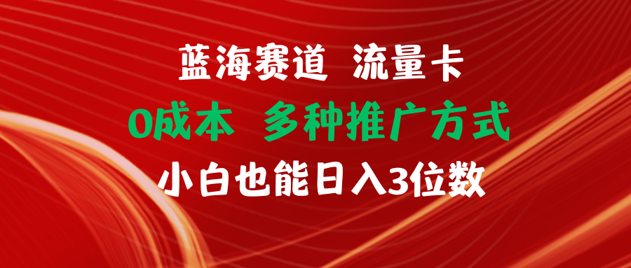 （11768期）蓝海赛道 流量卡 0成本 小白也能日入三位数-云帆学社