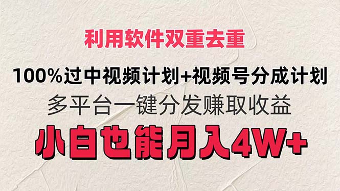 （11862期）利用软件双重去重，100%过中视频+视频号分成计划小白也可以月入4W+-云帆学社