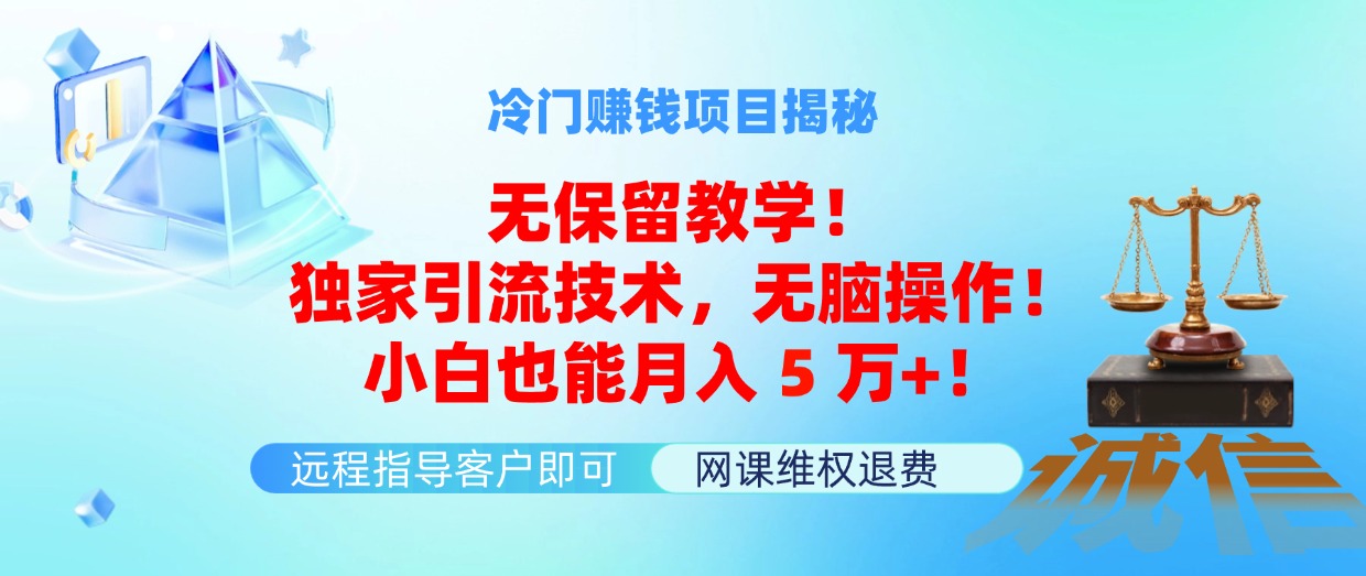 （11864期）冷门赚钱项目无保留教学！独家引流技术，无脑操作！小白也能月入5万+！-云帆学社