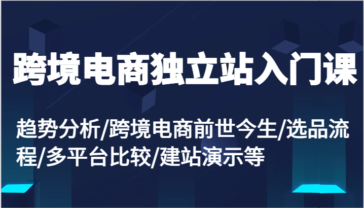 跨境电商独立站入门课：趋势分析/跨境电商前世今生/选品流程/多平台比较/建站演示等-云帆学社