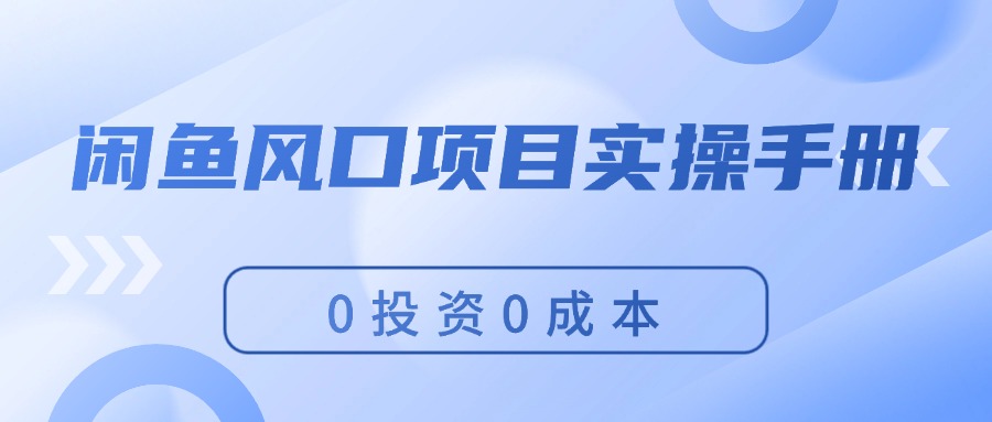 （11923期）闲鱼风口项目实操手册，0投资0成本，让你做到，月入过万，新手可做-云帆学社