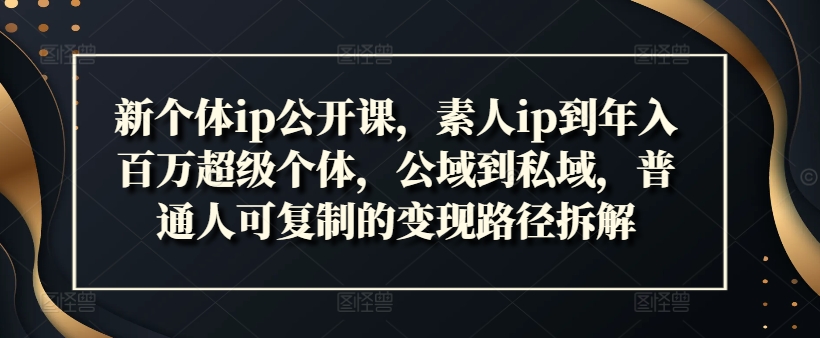 新个体ip公开课，素人ip到年入百万超级个体，公域到私域，普通人可复制的变现路径拆解-云帆学社