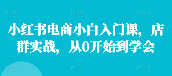 小红书电商小白入门课，店群实战，从0开始到学会-云帆学社