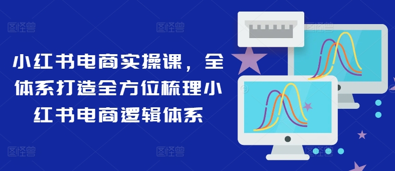 小红书电商实操课，全体系打造全方位梳理小红书电商逻辑体系-云帆学社