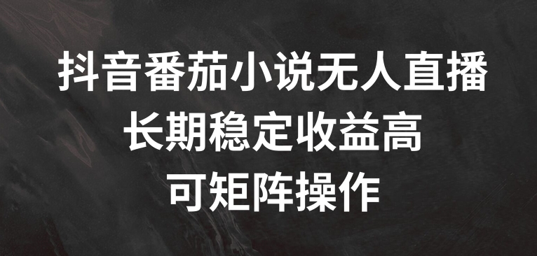 抖音番茄小说无人直播，长期稳定收益高，可矩阵操作-云帆学社