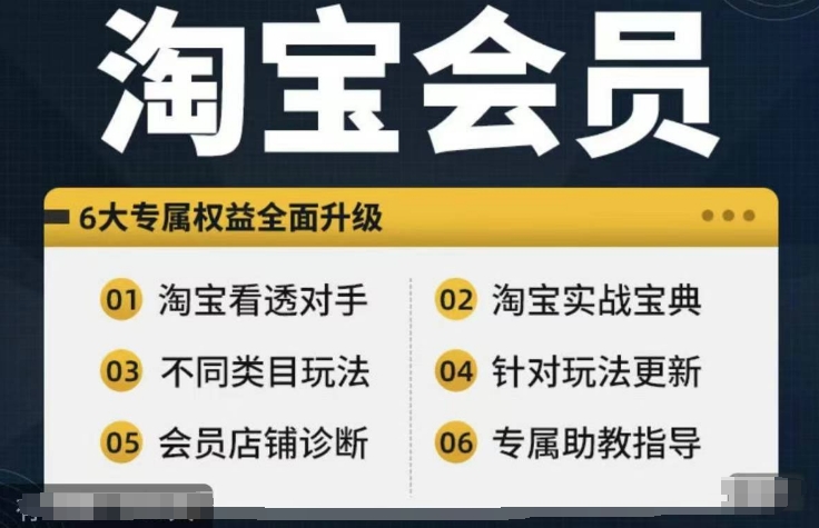 淘宝会员【淘宝所有课程，全面分析对手】，初级到高手全系实战宝典-云帆学社