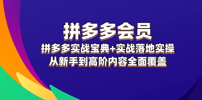 （12056期）拼多多 会员，拼多多实战宝典+实战落地实操，从新手到高阶内容全面覆盖-云帆学社