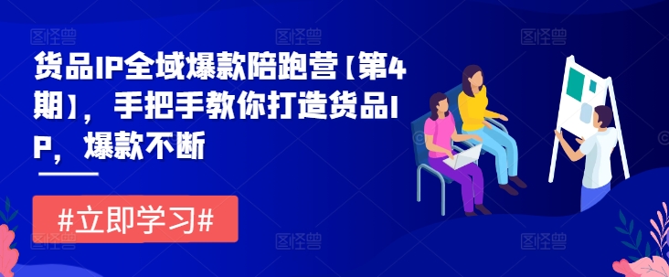 货品IP全域爆款陪跑营【第4期】，手把手教你打造货品IP，爆款不断-云帆学社