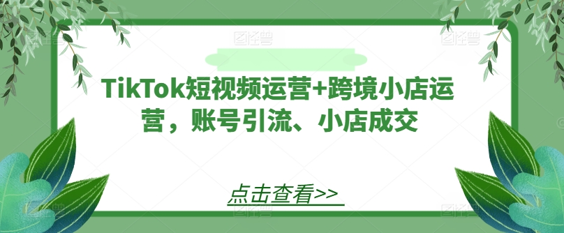 TikTok短视频运营+跨境小店运营，账号引流、小店成交-云帆学社