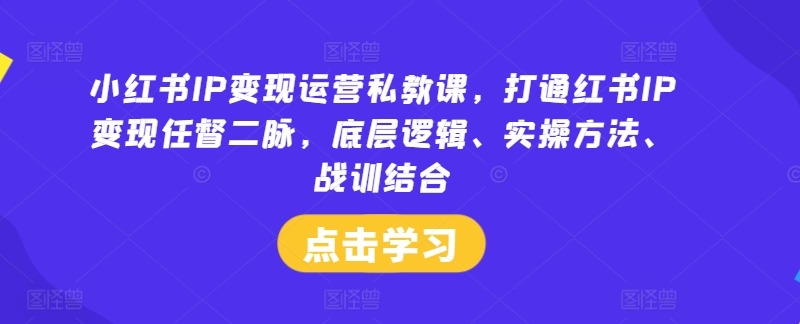 小红书IP变现运营私教课，打通红书IP变现任督二脉，底层逻辑、实操方法、战训结合-云帆学社