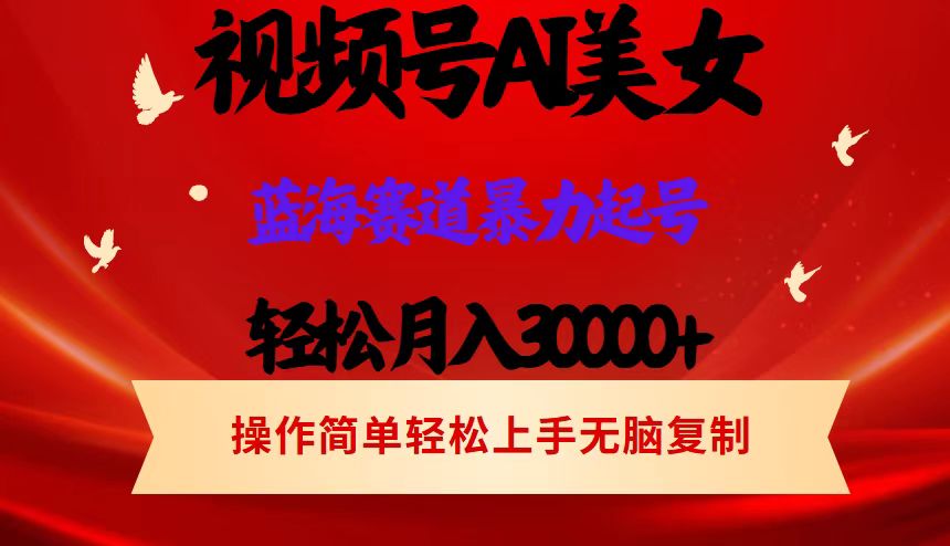 （12178期）视频号AI美女跳舞，轻松月入30000+，蓝海赛道，流量池巨大，起号猛，当…-云帆学社