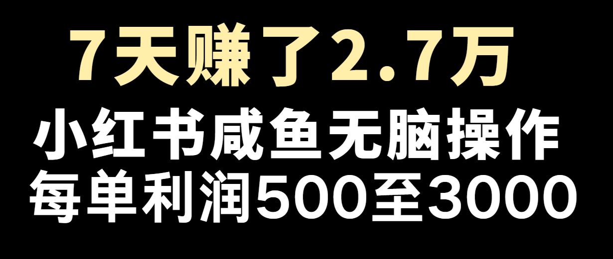 七天赚了2.7万！每单利润最少500+，轻松月入5万+小白有手就行-云帆学社