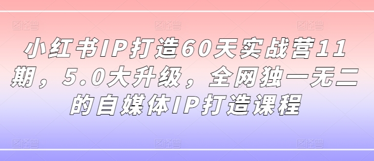 小红书IP打造60天实战营11期，5.0大升级，全网独一无二的自媒体IP打造课程-云帆学社