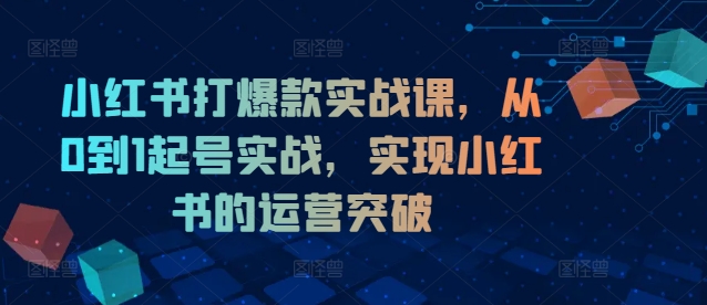 小红书打爆款实战课，从0到1起号实战，实现小红书的运营突破-云帆学社