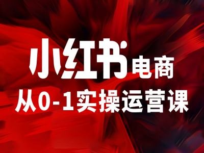 小红书电商从0-1实操运营课，让你从小白到精英-云帆学社