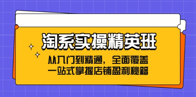 （12276期）淘系实操精英班：从入门到精通，全面覆盖，一站式掌握店铺盈利秘籍-云帆学社