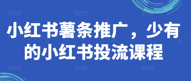 小红书薯条推广，少有的小红书投流课程-云帆学社