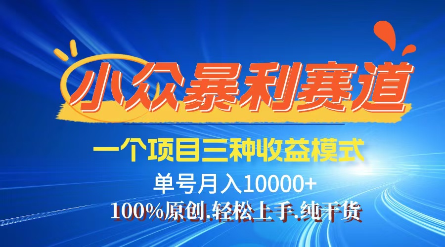 （12579期）【老人言】-视频号爆火赛道，三种变现方式，0粉新号调调爆款-云帆学社