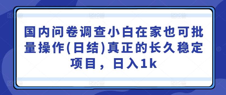 国内问卷调查小白在家也可批量操作(日结)真正的长久稳定项目，日入1k-云帆学社