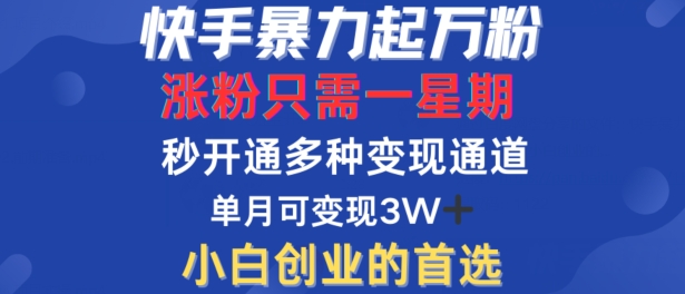 快手暴力起万粉，涨粉只需一星期，多种变现模式，直接秒开万合，单月变现过W-云帆学社