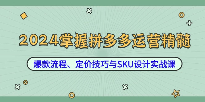 （12703期）2024掌握拼多多运营精髓：爆款流程、定价技巧与SKU设计实战课-云帆学社