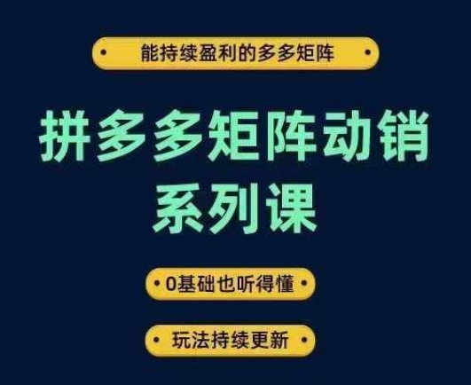 拼多多矩阵动销系列课，能持续盈利的多多矩阵，0基础也听得懂，玩法持续更新-云帆学社