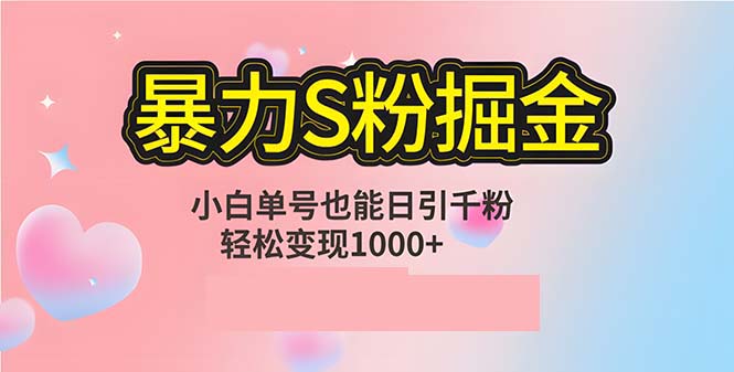 （12778期）单人单机日引千粉，变现1000+，S粉流量掘金计划攻略-云帆学社