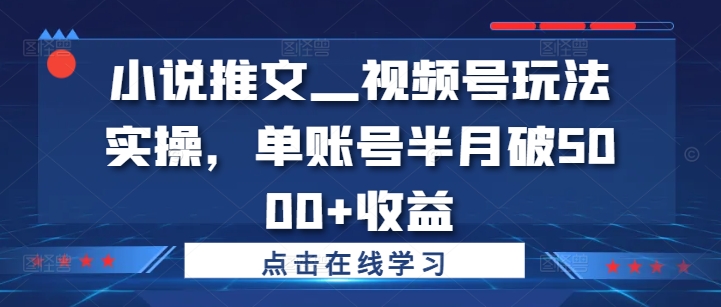 小说推文—视频号玩法实操，单账号半月破5000+收益-云帆学社